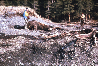 Illustration for article titled The Largest Earthquake In U.S. History Happened 50 Years Ago Today